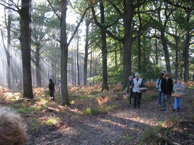 2007 10 Myco Pecqueuse 08